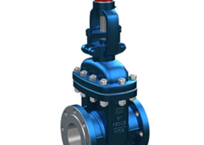 FLV Industrial Valves